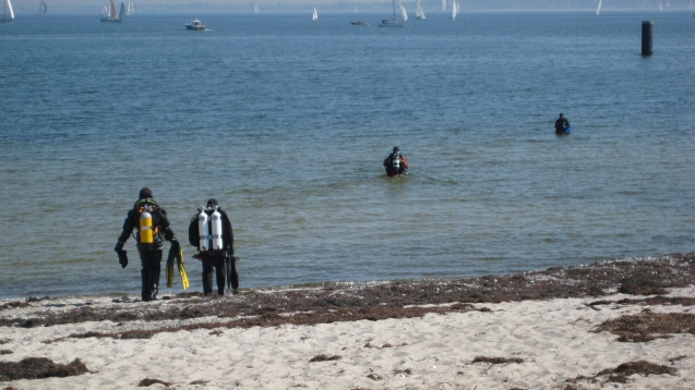 Divers at the beach on their way to the baltic sea