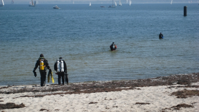 Taucher gehen in der Strander Bucht ins Wasser