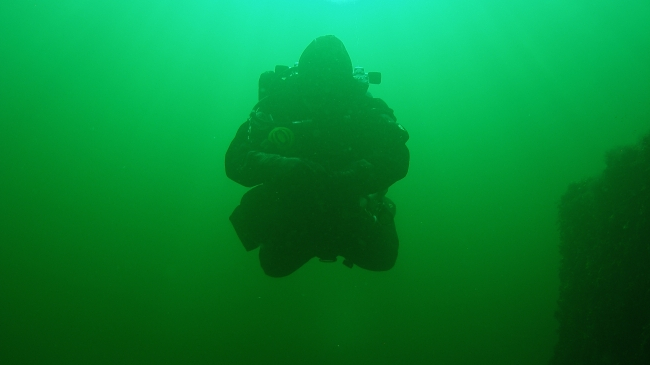 Taucherin schwebt in grün scheinendem Wasser